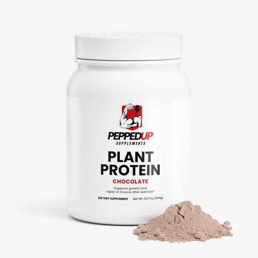 Plant Protein (Chocolate)